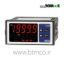 WIKA-Digital-indicator-for-panel-mounting-DI25
