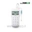 HANNA-HI98161