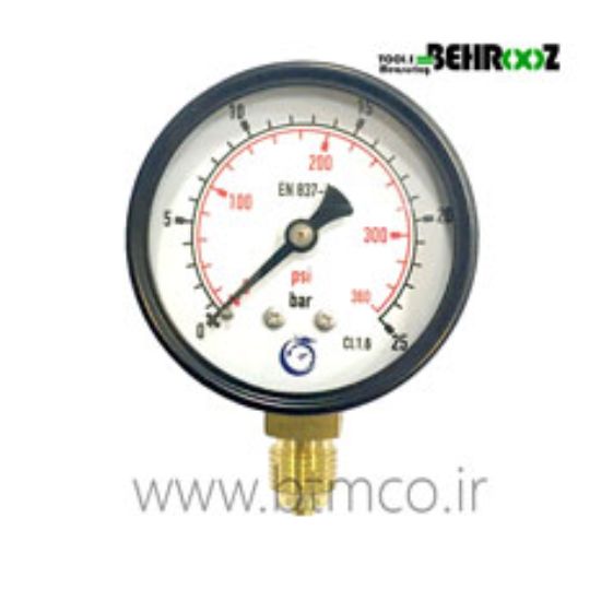Pressure-Gauge-25-Bar-Dragon-02