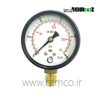 Pressure-Gauge-25-Bar-Dragon