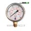 Pressure-Gauge-25-Bar-WEIKE