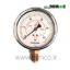 Pressure-Gauge-25-Bar-Pakkens