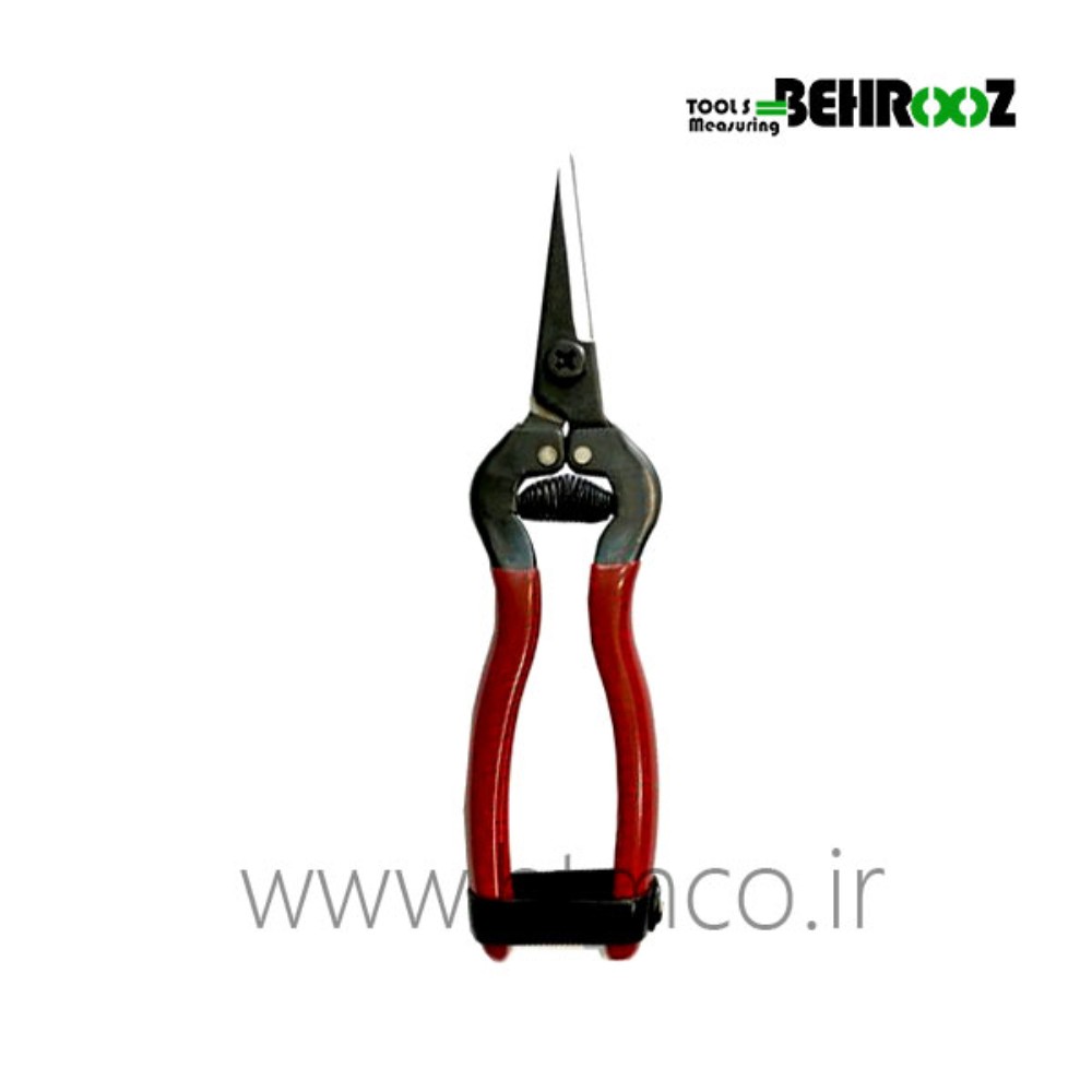 Chinese-fruit-scissors