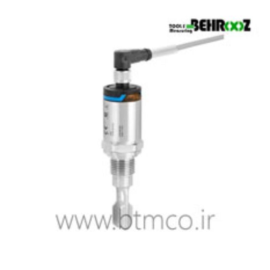 Vibronic-Point-level-detection-Endress-Hauser-Liquiphant-FTL31