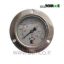 Pressure-guage-weiki
