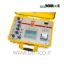 raytech-WR14-Winding-Resistance-Meter-15Amps